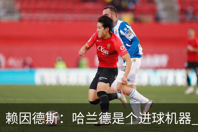 赖因德斯：哈兰德是个进球机器 但最佳前锋我选加克波